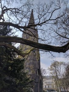 Cathedral with a tree blooming under it